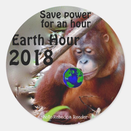 Conservation Earth Hour Ronde Sticker (Voorkant)
