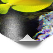 Conserver la natation Motivation photo (Coin)