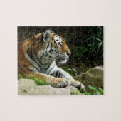 Considérer le puzzle de tigre (Horizontal)