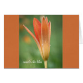 Considérez la carte de note du faux lys Parakaleo (Devant Horizontal)