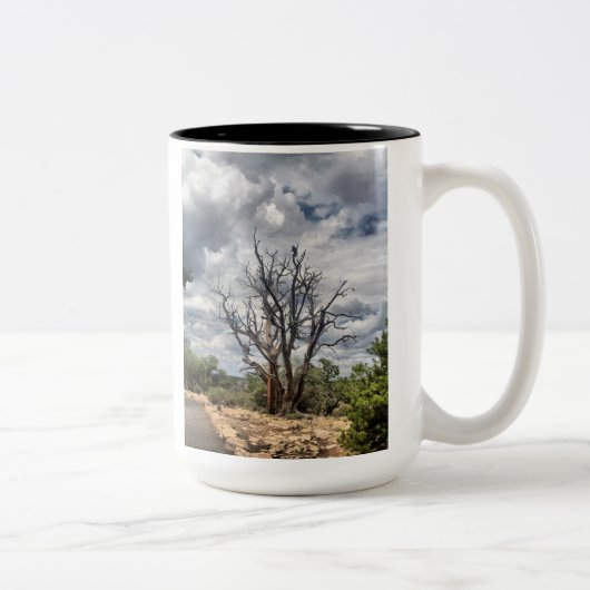 Considérez la tasse de Ravens (Droit)