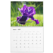 Considérez les lis page de dévotion du calendrier (Mar 2027)