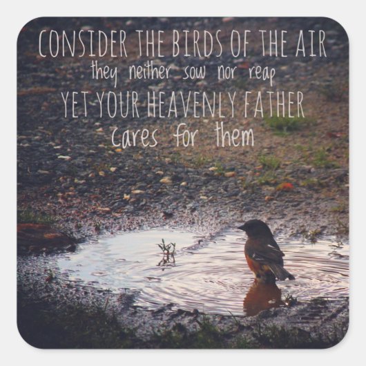 Considérons les oiseaux des stickers aériens (Devant)