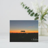 consoler | carte postale coucher de soleil (Debout devant)