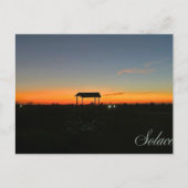 consoler | carte postale coucher de soleil (Devant)