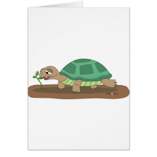Consommation de tortue