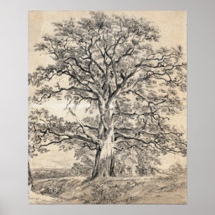 Constable - een geweldige eikenboom 1801 poster