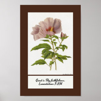 Constans Hibiscus Inspirerend Poster Print