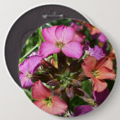 "Constant Cheer" Wallflower Button of badge (Voorkant /achterkant)