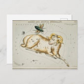  constellatie illustratie briefkaart (Voorkant / Achterkant)