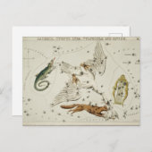  constellatie illustratie briefkaart (Voorkant / Achterkant)