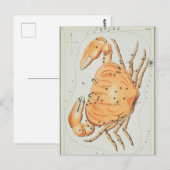  constellatie illustratie briefkaart (Voorkant / Achterkant)