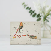  constellatie illustratie briefkaart (Staand voorkant)