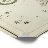  constellatie illustratie poster (Hoek)