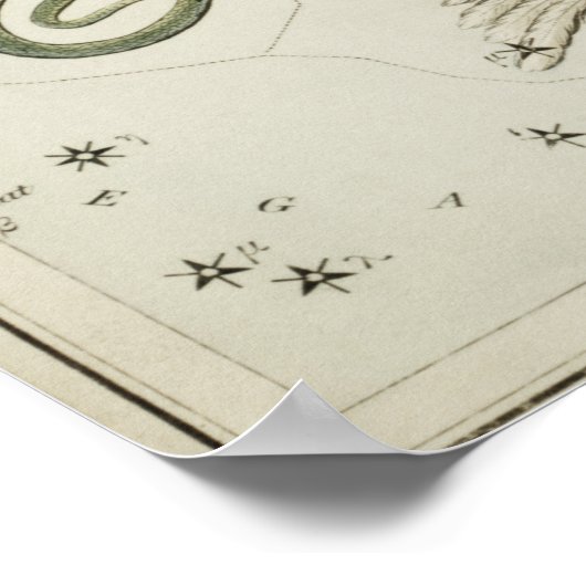  constellatie illustratie poster (Hoek)