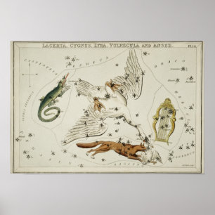 constellatie illustratie poster