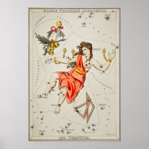  constellatie illustratie poster