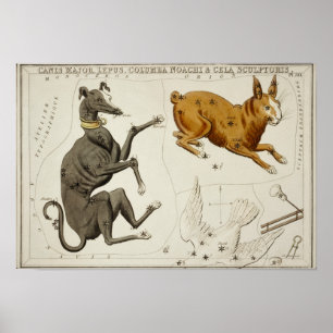  constellatie illustratie poster