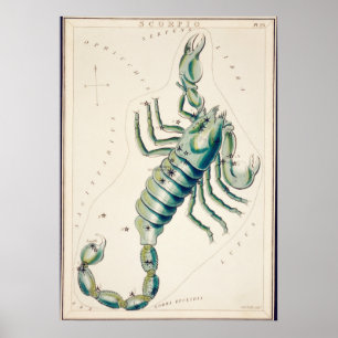  constellatie illustratie poster