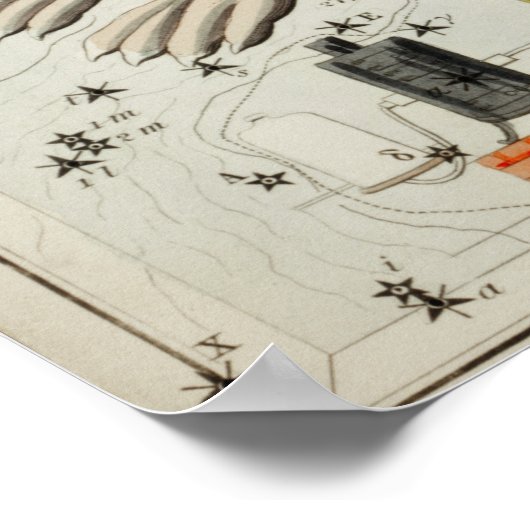  constellatie illustratie poster (Hoek)