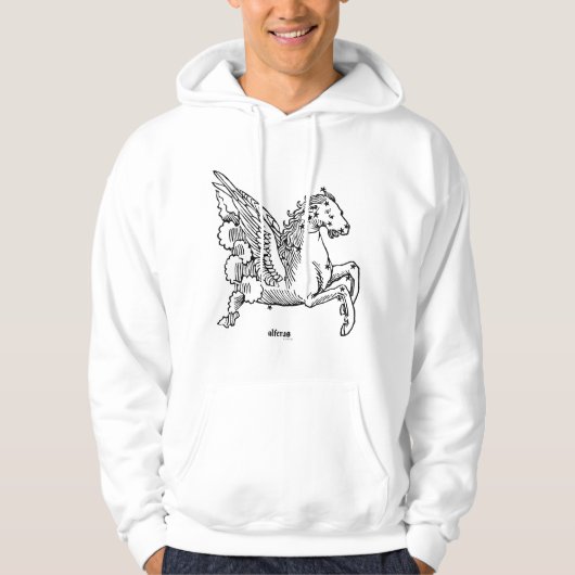Constellatie: Pegasus Hoodie (Voorkant)