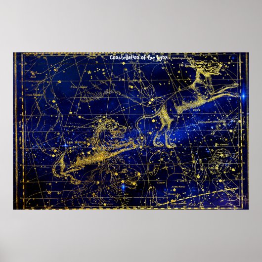 Constellatie van de Lynx Poster (Voorkant)