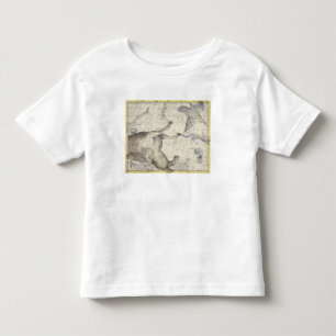Constellatie van Pegasus, bord 25 uit Atlas Coe Kinder Shirts