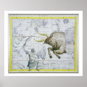Constellatie van Taurus, bord 2 van 'Atlas Coele' Poster