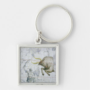 Constellatie van Taurus, bord 2 van 'Atlas Coele' Sleutelhanger