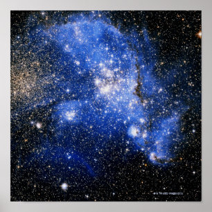 Constellation Tucana Poster