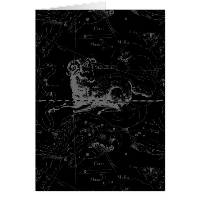 Constellation vintage Hevelius 1690 de signe de (Devant)