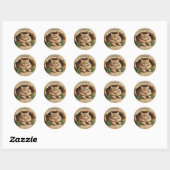 Constitution & Catnip - Sticker pour chat patrioti (Feuille)