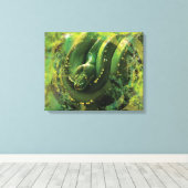 Constrictor Green Python Boa Canvas Afdruk (Insitu (Houten vloer))