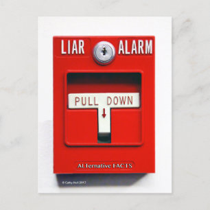 Contactez Donald J. Carte postale Trump Fire Trump