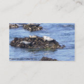 contactkaarten contactkaartje (Achterkant)