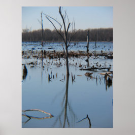 Contemplatie van reflectie poster