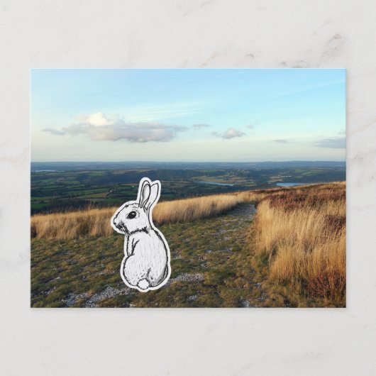 Contemplative Rabbit Briefkaart (Voorkant)