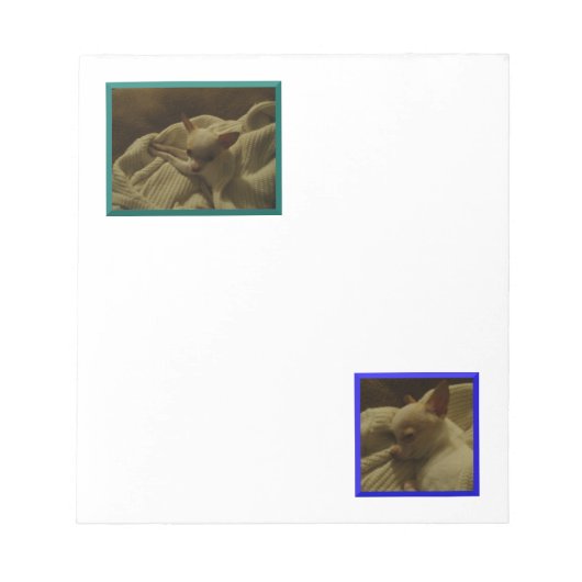 Contenu Bloc-notes Chihuahua Puppy (Devant)