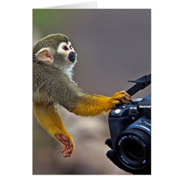 Continuez ! laissez-moi prendre le tir (Devant)