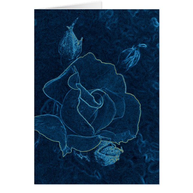 contour bleu rose (Devant)