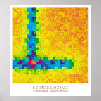 Contour Mosaic Poster