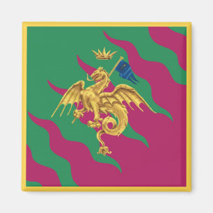 Contrada del Drago (Dragon) Palio di Siena Magneet