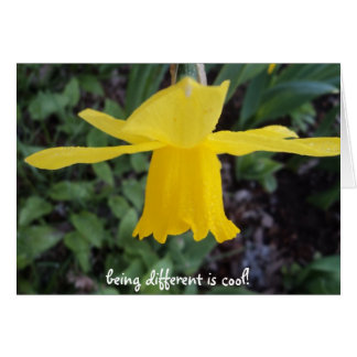 Contre le grain est OK