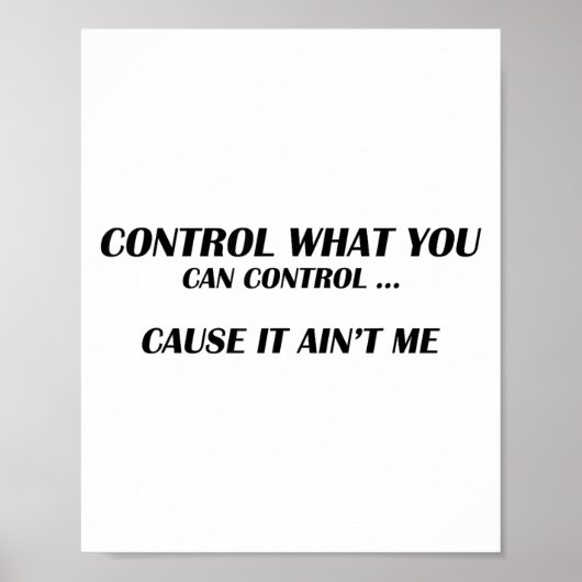 Control What You Can Control Cause It Ain't Me Fun Poster (Voorkant)