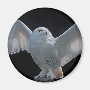 Controle vóór de vlucht Magnet Magneet