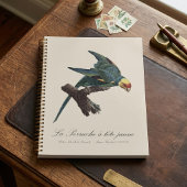 Conure de Caroline, Conuropsis carolinensis