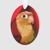 Conure Joues Vertes Perruche Câlins Oiseau de Comp (dos)