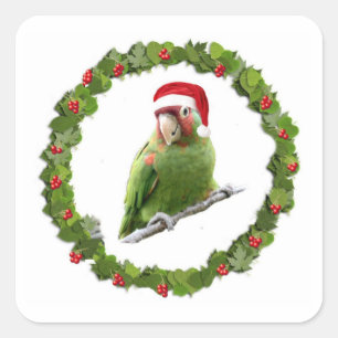 Conure kerst Wreath Vierkante Sticker