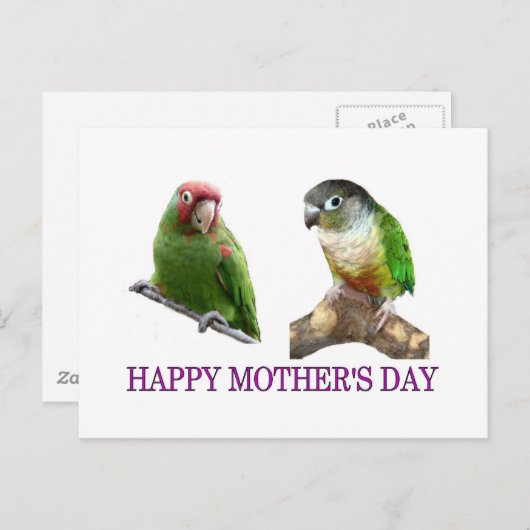 Conure Moederdag Briefkaart (Voorkant / Achterkant)