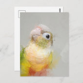 Conure portret 012 briefkaart (Voorkant / Achterkant)